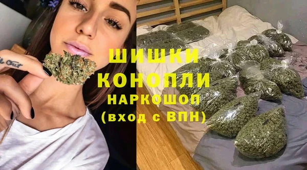 apvp Горнозаводск