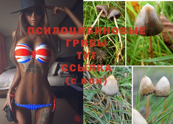 стаф Гусиноозёрск