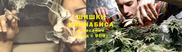 гидропоника Карабаш